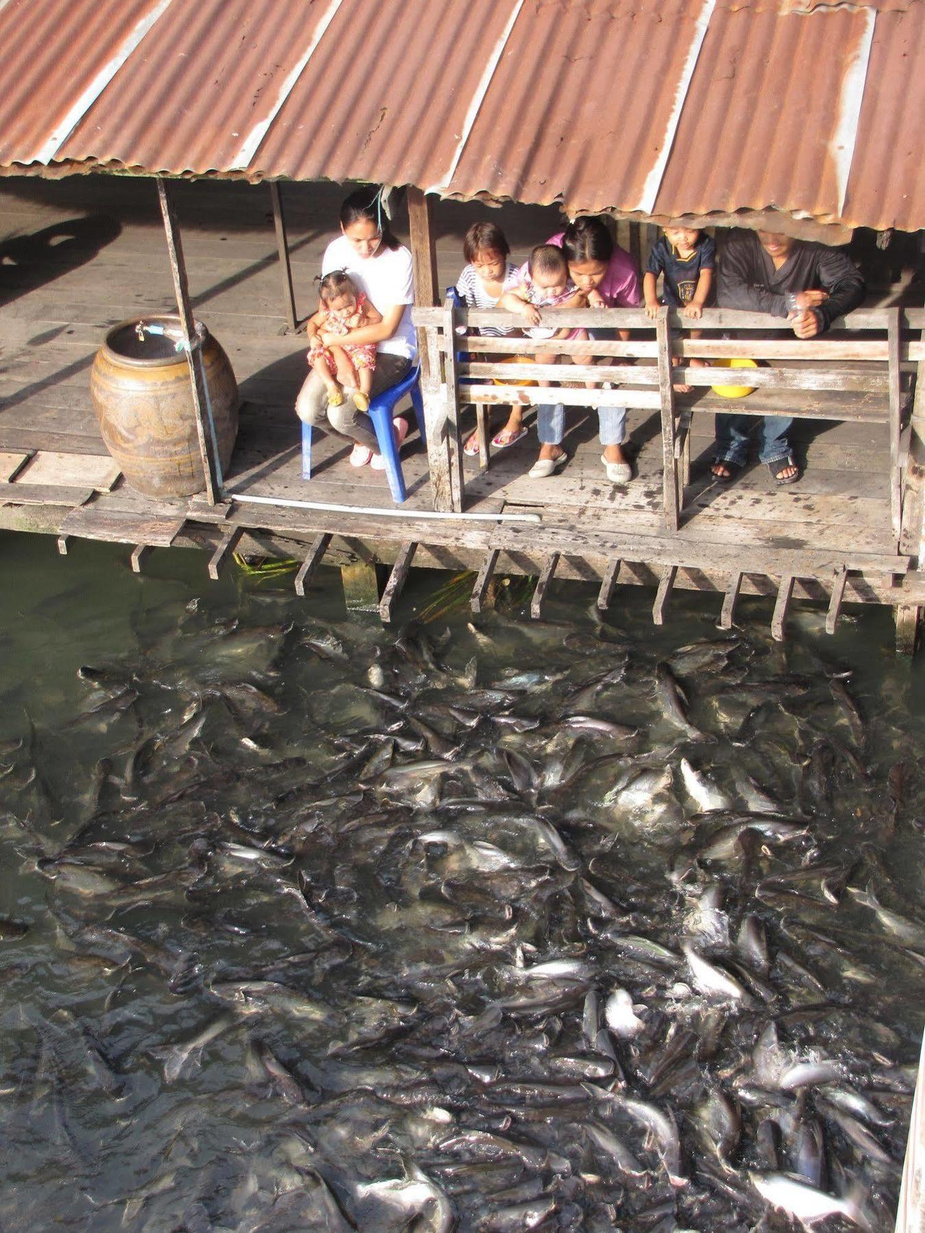 Hotel Bangluang House Bangkok Zewnętrze zdjęcie